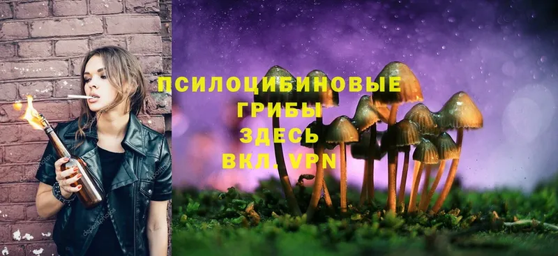 Галлюциногенные грибы MAGIC MUSHROOMS  Гатчина 